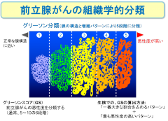 図12